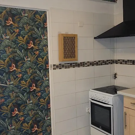 Apartamento Beach Appart Nice